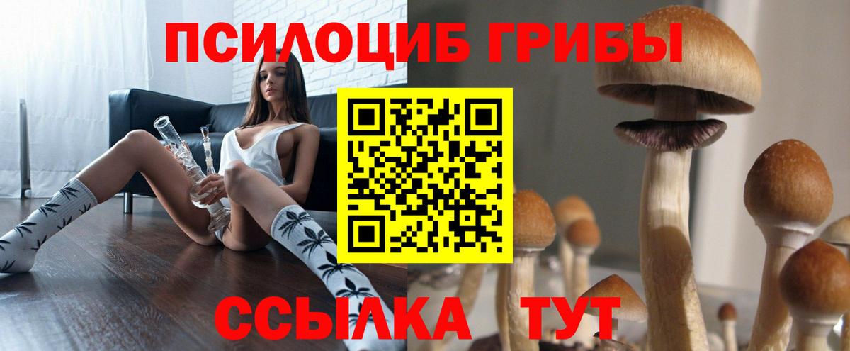 Галлюциногенные грибы MAGIC MUSHROOMS Егорьевск